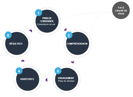Transformation professionnelle
